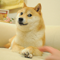 the-doge-nft